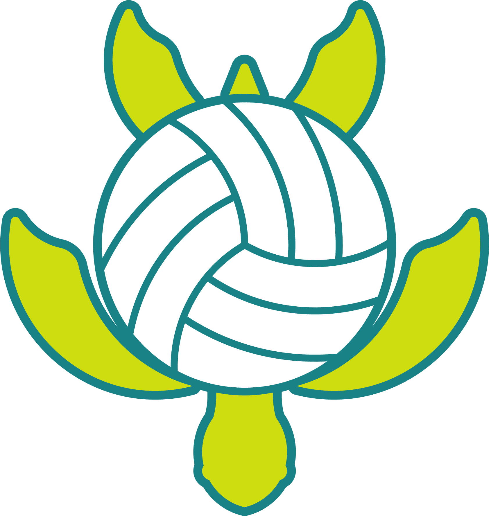 Turtle 1